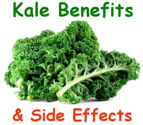 Kale: The Magical Key to Boosting Your Energy Levels Naturally.